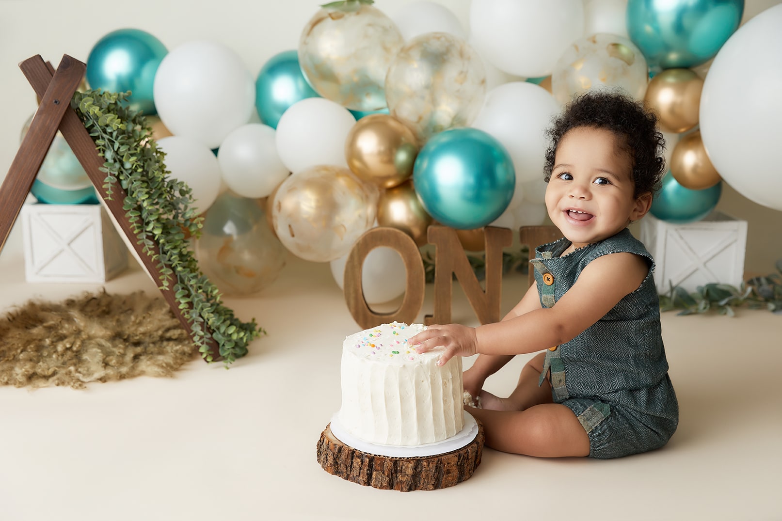 10 Expert Tips for the Best First Birthday Cake Smash Photos - Ramina ...